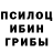 Галлюциногенные грибы мицелий Kolt 2