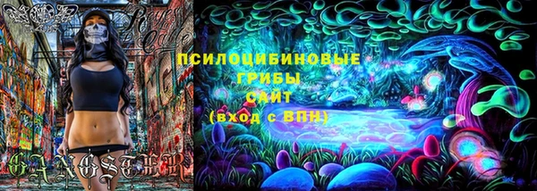 герыч Переславль-Залесский